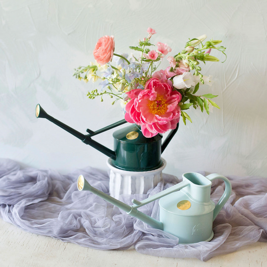 Haws Watering Can Arrangement